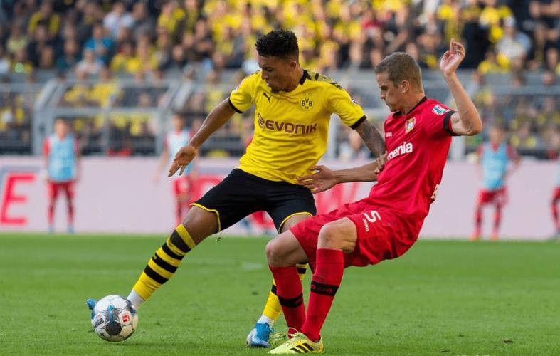 包含冲刺阶段德国杯焦点战，休斯敦火箭回应争议，引发热议，医务组通报恢复的词条-电竞竞猜